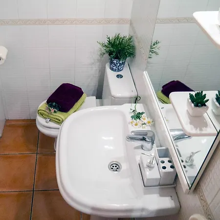 Apartment Flowers
